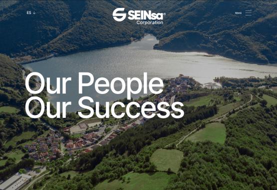 Seinsa web
